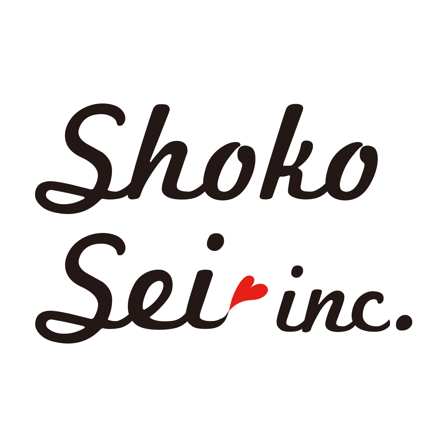 Profile Shoko Sei Inc スタイリスト セイショーコ